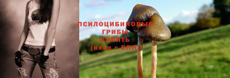 Псилоцибиновые грибы MAGIC MUSHROOMS  Лесозаводск 